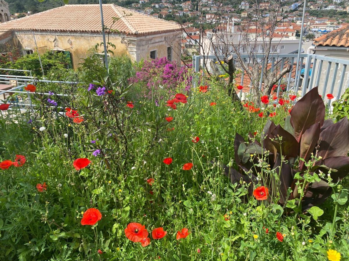 Antiklea Villa Ithaka Exteriér fotografie